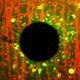 Image for article titled New Research Could Improve Artificial Retinas To Help a Blind Eye See